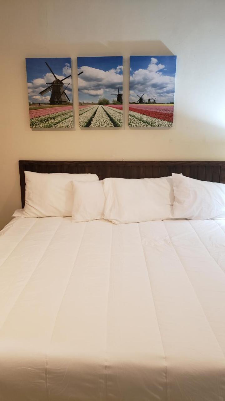 Domus Hotel San Salvador Extérieur photo